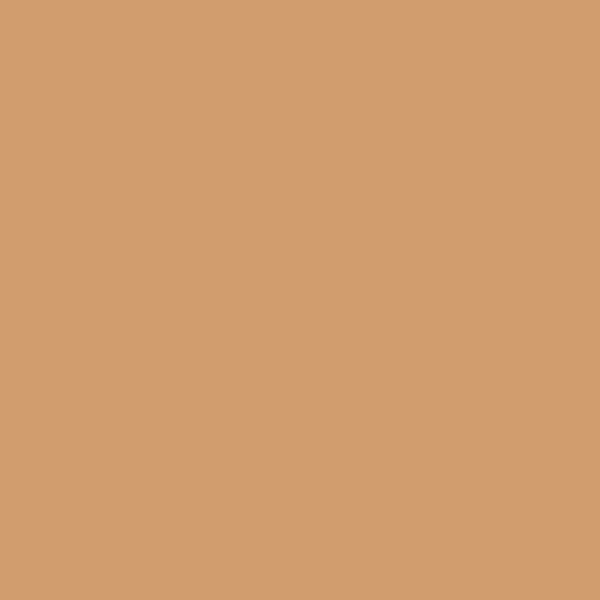 SKIN FOCUSED Care Face Foundation SPF 50 MEDIUM APRICOT 309 - Image 5